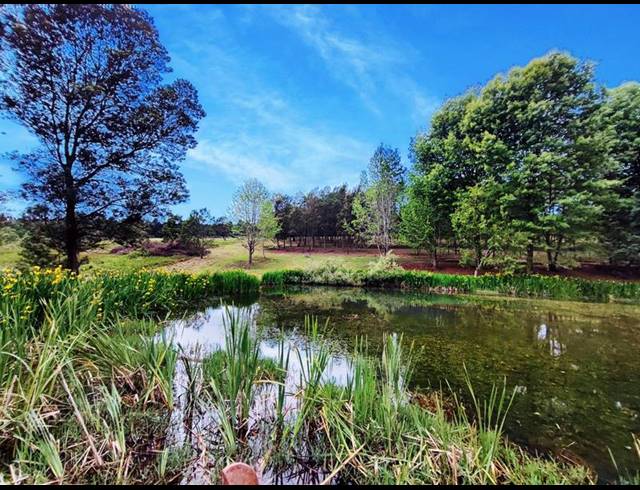 FARM FOR SALE IN PIETERMARITZBURG RURAL